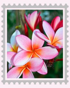 Hawaii78