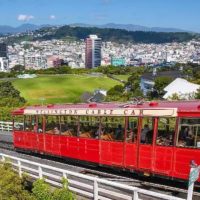 Day 11 - Wellington, New Zealand