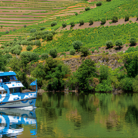 Day 3 - Amarante - Douro Valley - Amarante