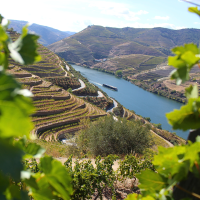 Day 1 - Overnight Flight