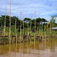 Day 11 - Border Crossing - Tan Chau Vietnam