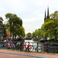 (Optional Post-Cruise) Day 13 -  Amsterdam