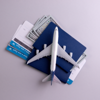 (Optional Post-Cruise) Day 14 -  Amsterdam