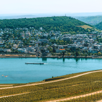 Day 9 - Rudesheim, Germany